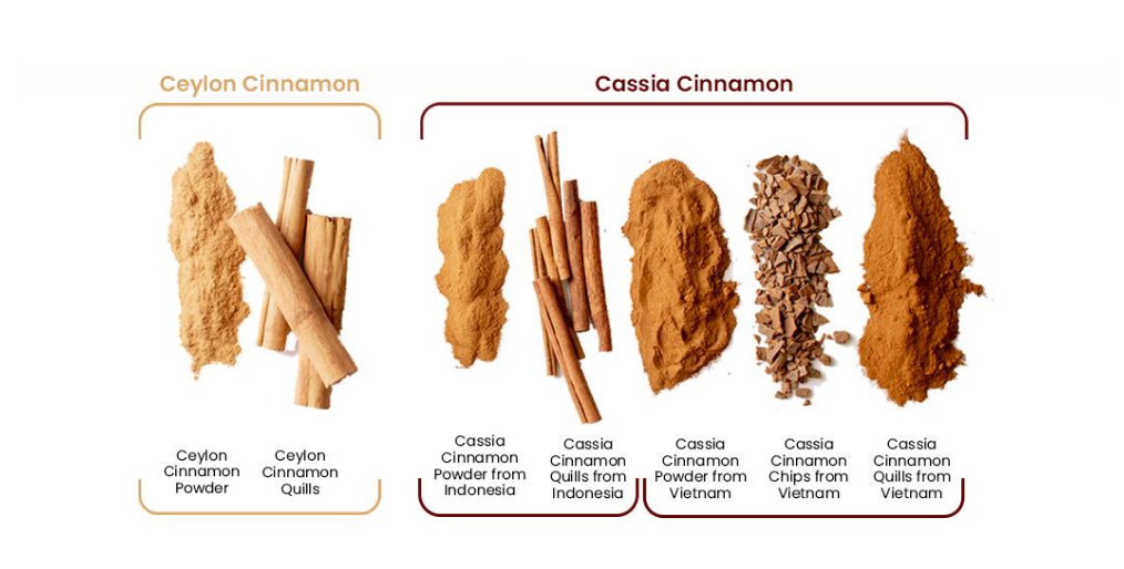 cassia vs cinnamon